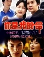 你是我的命电视剧