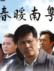 春暖南粤 电视剧,谱写岭南风情画卷